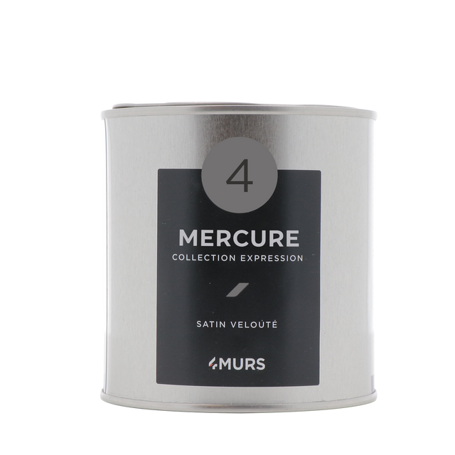 Expression Peinture Finition Peinture mercure Satiné 0,5 L