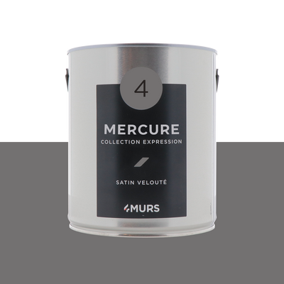 EXPRESSION Peinture Expression Mercure Satiné 2,5L
