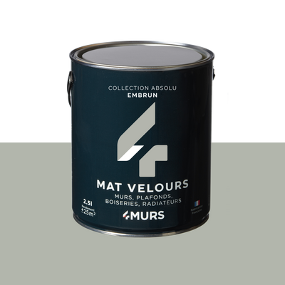 ABSOLU Peinture Absolu Embrun Mat 2,5L
