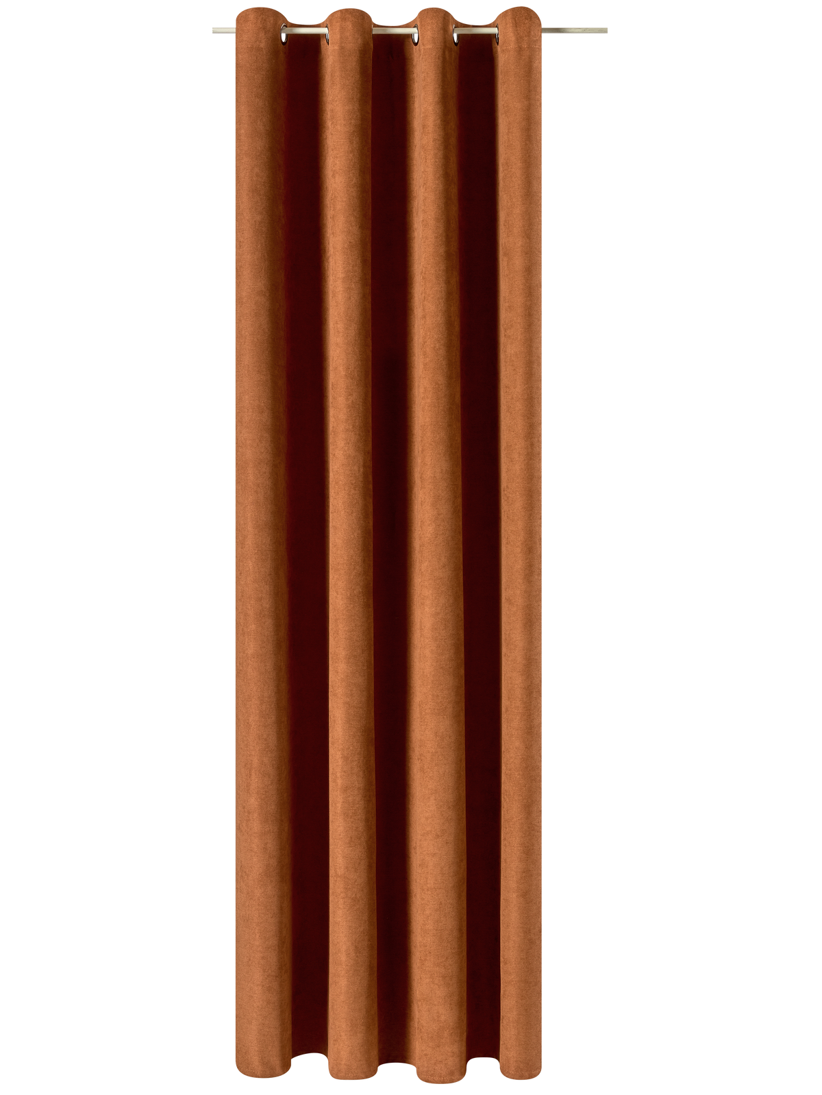 Rideau Wall street Camel