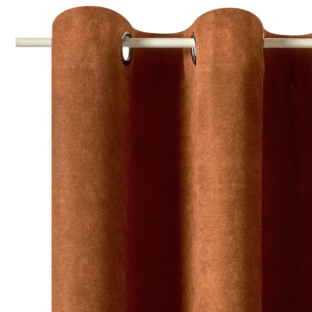 Rideau Wall street Camel