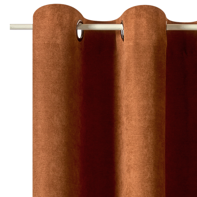 Rideau Wall street Camel