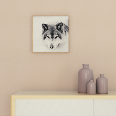 4MURS Tableau Snow wolf Gris polaire