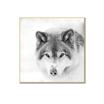 4MURS Tableau Snow wolf Gris polaire
