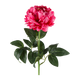 Fleur synthétique Pivoine rosaline Vert