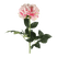 PIVOINE ROSALINE