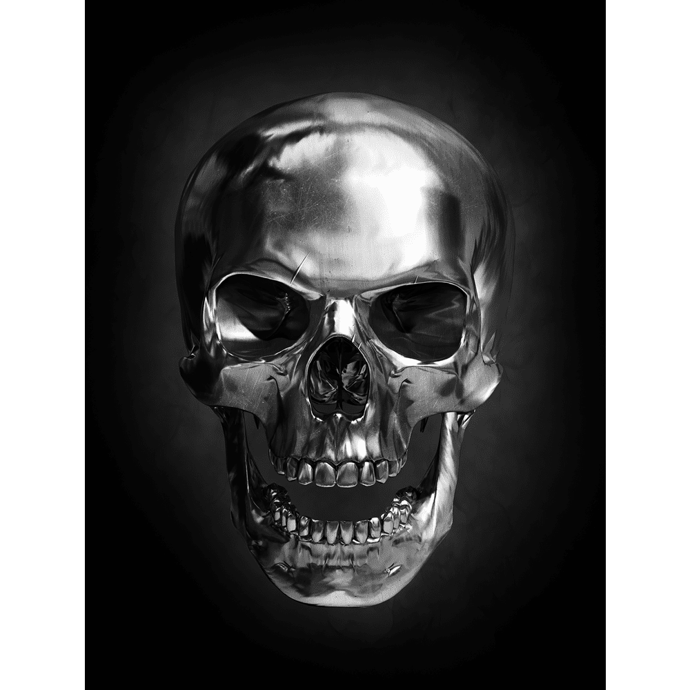 4MURS Toile imprimée Dark skull Noir