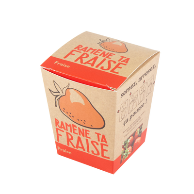 RADIS ET CAPUCINE Kit Ramene ta fraise Brun