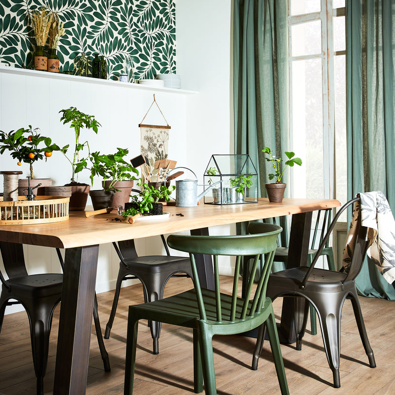 Salle à manger style casual avec chaises dépareillées et plantes en pots sur la table