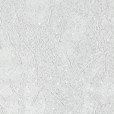 Papier peint intissé Feeria Blanc Lisse