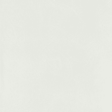 Papier peint intissé PANDORA coloris blanc