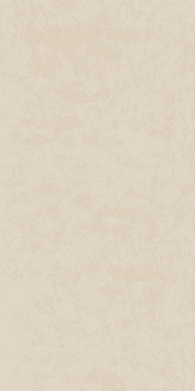 Papier peint intissé RAVENNE coloris flanelle