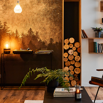 Ambiance montagne : comment donner un style chalet à son intérieur ?