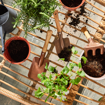 Comment créer un potager sur son balcon ?