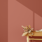 4murs peinture couleur terracotta dans la chambre