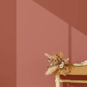 4murs peinture couleur terracotta dans la chambre