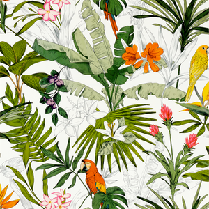 Motif de papier peint jungle colorée