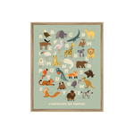 Tableau abécédaire animaux sauvages