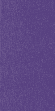 Papier peint intissé NOUKA coloris améthyste