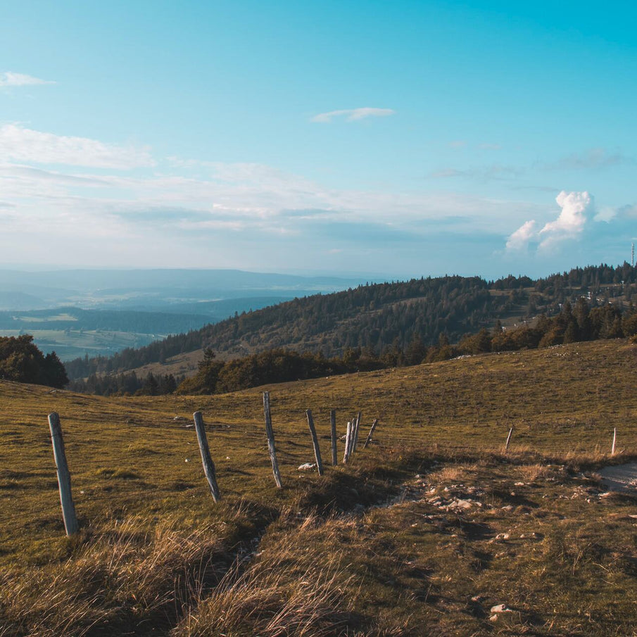 paysage Mont D'or dans le Jura