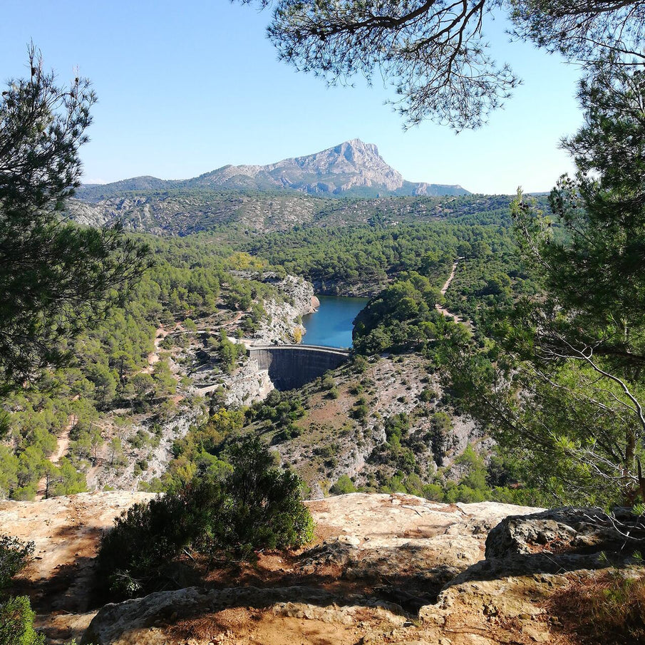 Paysage provençal