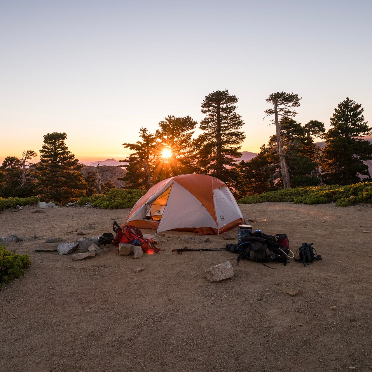 Tente de camping, entourée de matériel de camping, devant des arbres au lever du soleil