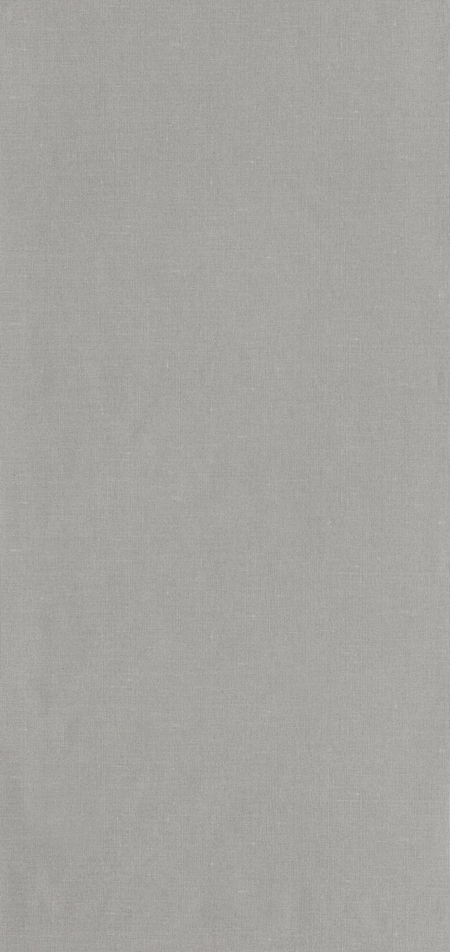 Papier peint intissé LAZY coloris taupe