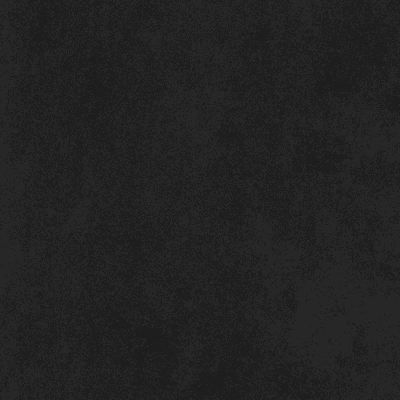 4MURS Papier peint intissé Classic line Noir Lisse