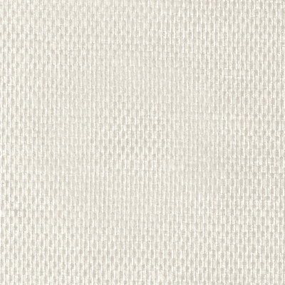 Toile de verre Maille standard Blanc