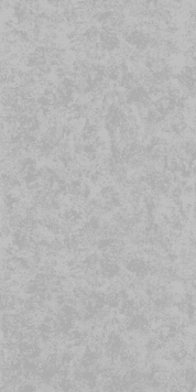 Papier peint intissé ESSENTIELLE coloris gris béton