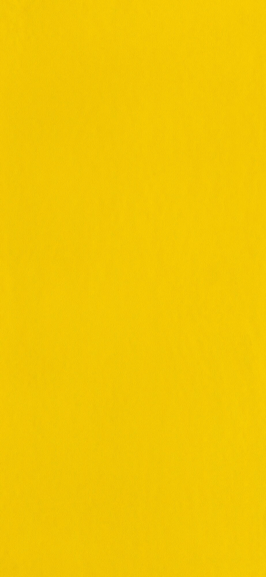 Papier peint intissé New infinity Jaune citron Lisse