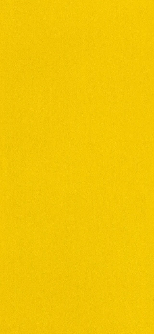 Papier peint intissé NEW INFINITY coloris jaune citron
