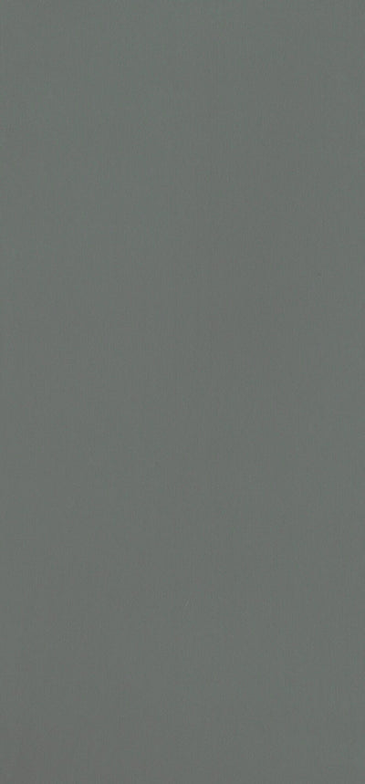 Papier peint intissé Opal Gris béton Lisse