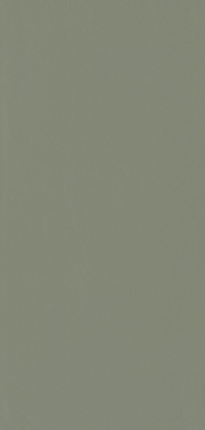 Papier peint intissé New infinity Kaki clair Lisse