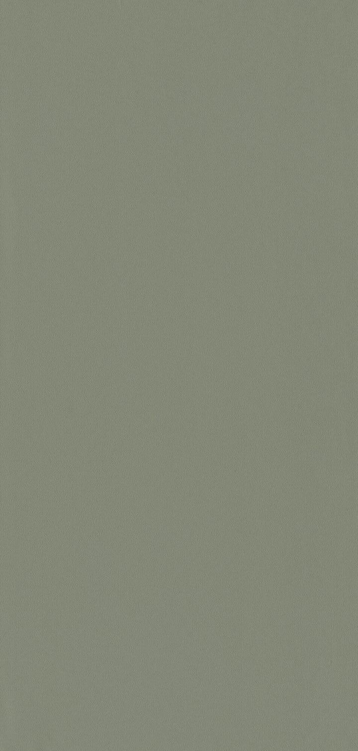 Papier peint intissé New infinity Kaki clair Lisse