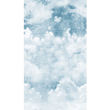 BLUE CLOUDS