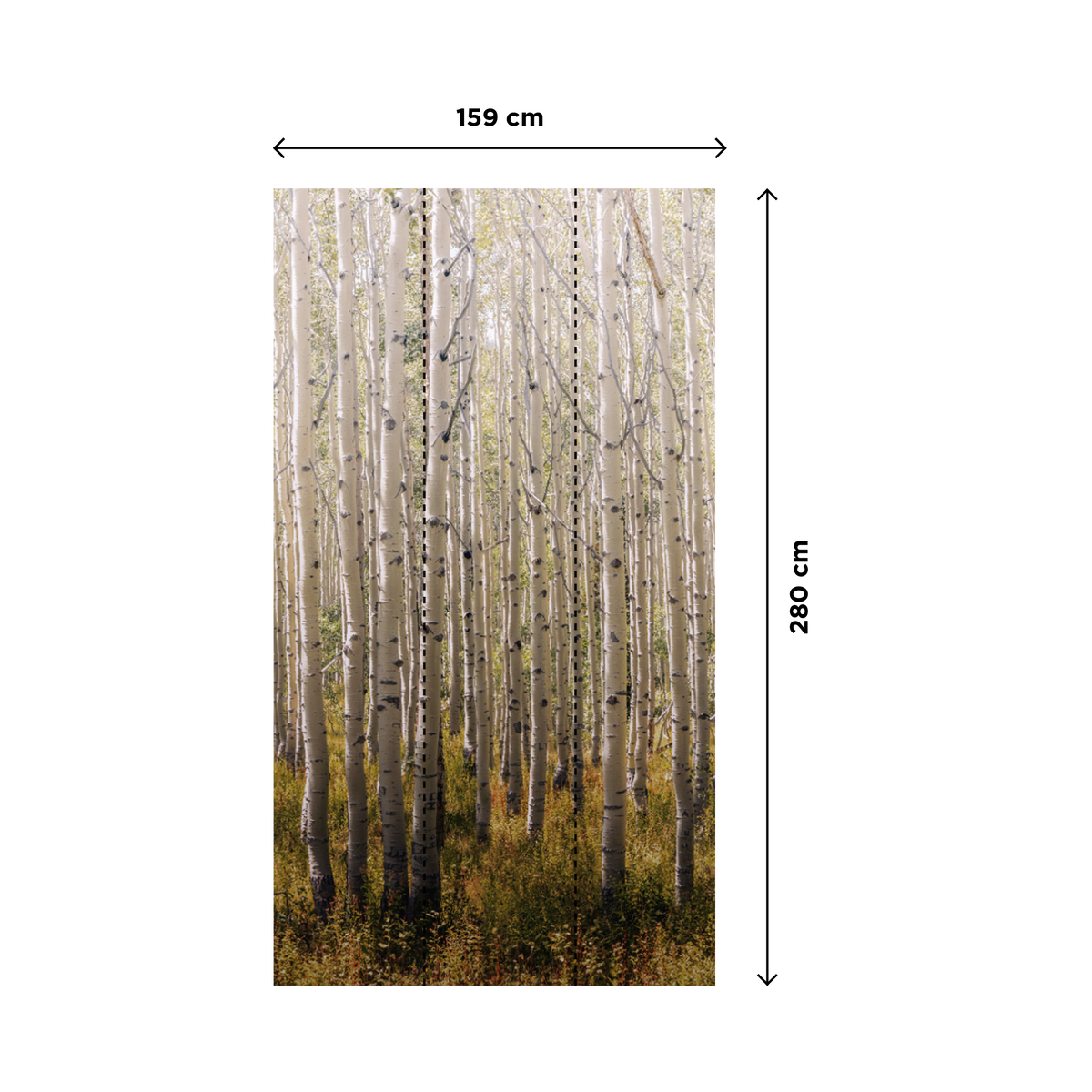 Papier peint panoramique L Birch tree Blanc