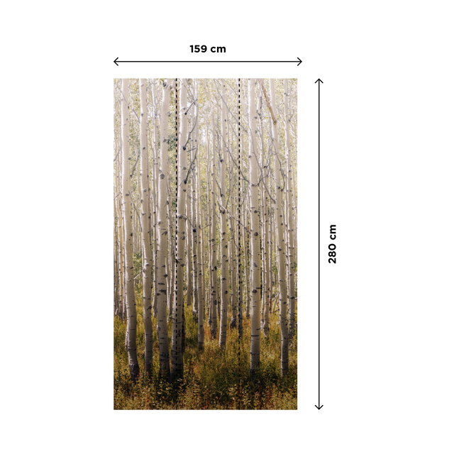 Papier peint panoramique L BIRCH TREE 159 x 280 cm