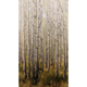 Papier peint panoramique L Birch tree Blanc