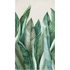 BANANIER
