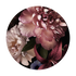 ROSALIA