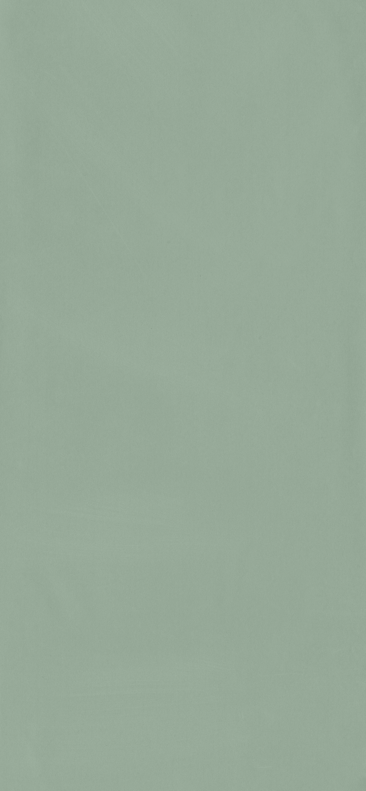 4MURS Papier peint intissé Opal Vert de gris Lisse