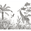 BLACK JUNGLE