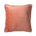 FYN