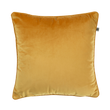 FYN