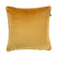 FYN