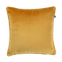 FYN