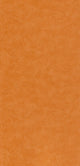 Papier peint intissé Ravenne Terracotta Crépi grésé