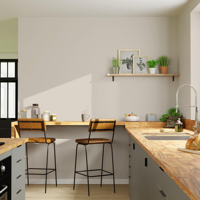 CIRCOULEUR Peinture Peinture plume Satiné 0,5 L