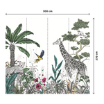 DAY COLOR JUNGLE